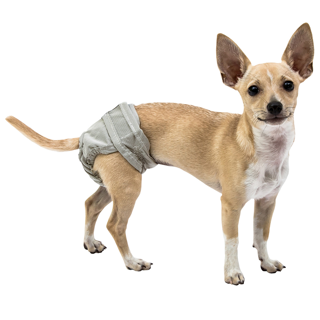 PoochPants Reusable Dog Diapers - Pet 