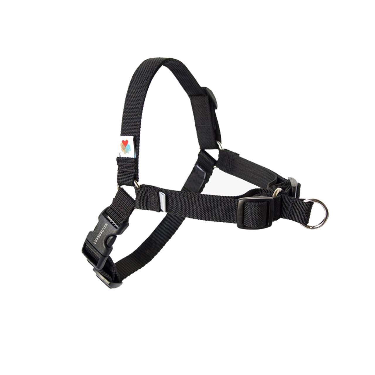 dog strap