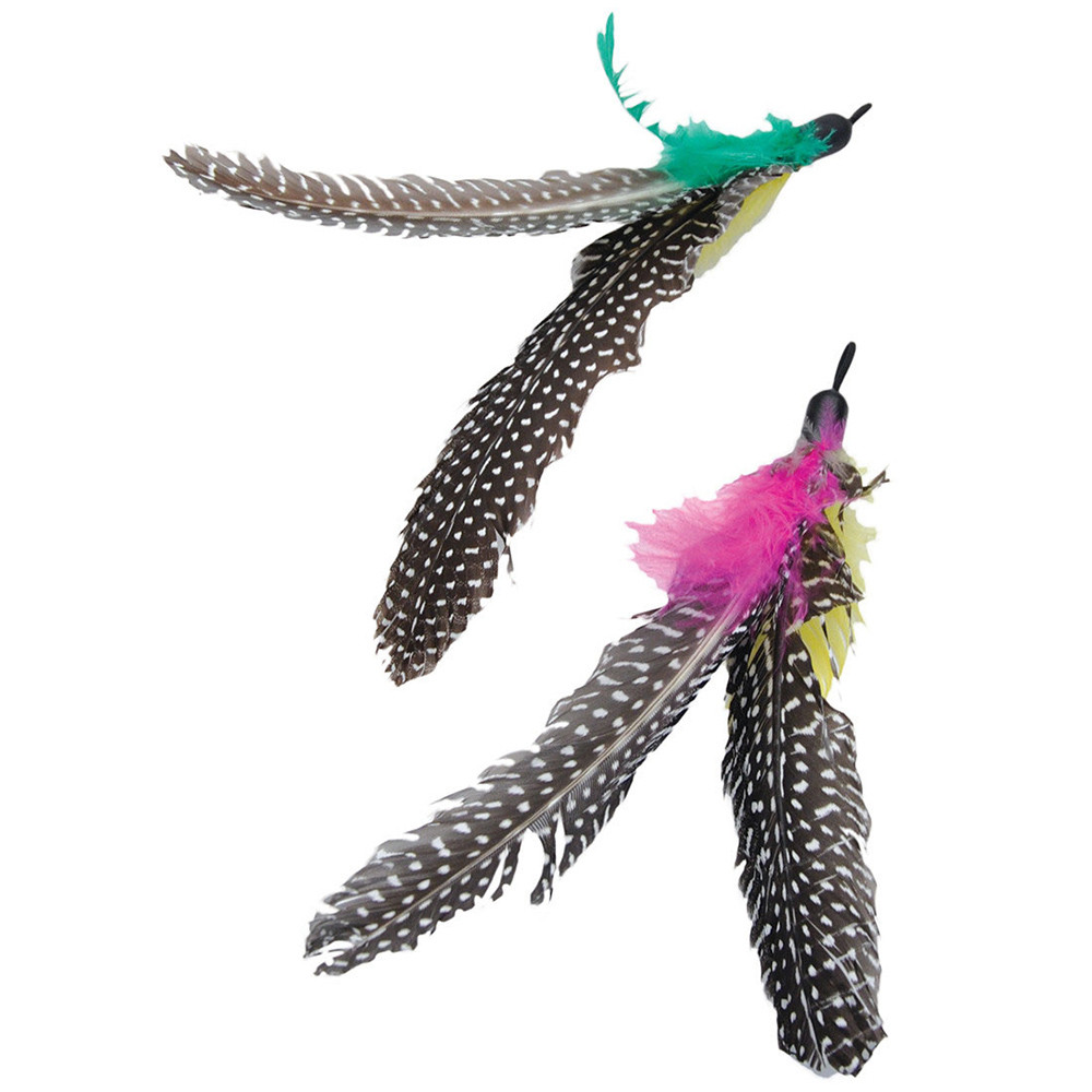 feather teasers for cats