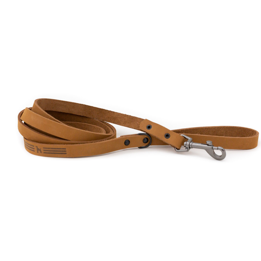 tan dog leash