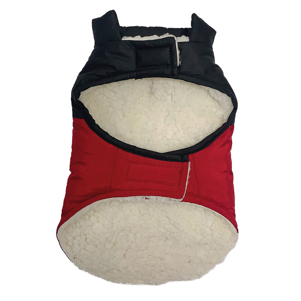 friends forever dog coat