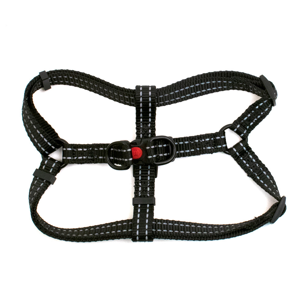 fetch harness