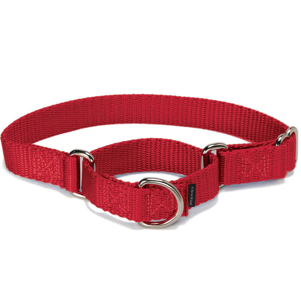 petsafe martingale collar