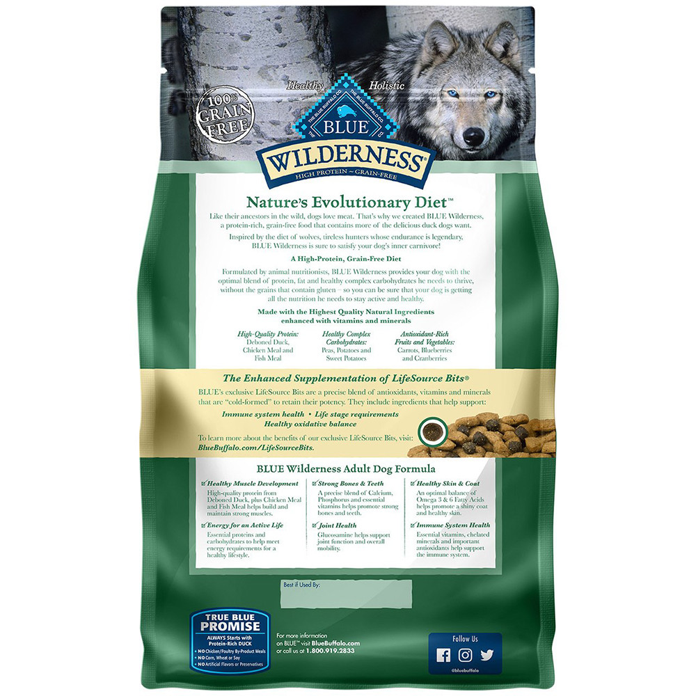 blue wilderness duck