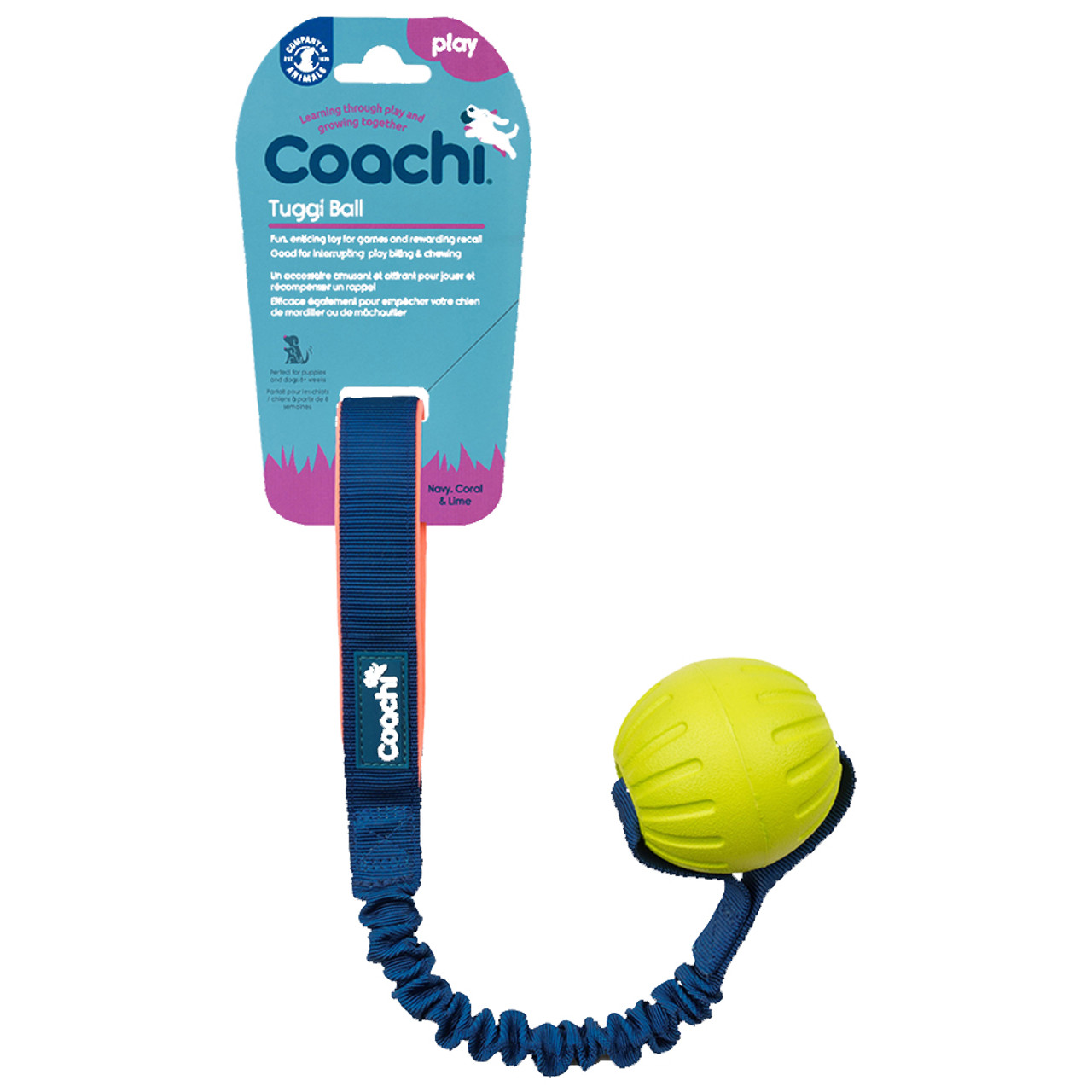 Coachi Tuggi Ball Interactive Dog Toy - Front, Packaging