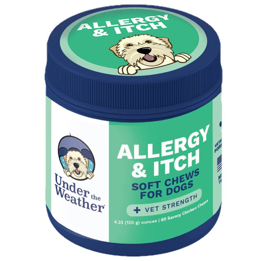 Under The Weather Allergy & Itch Soft Chews for Dogs - Front