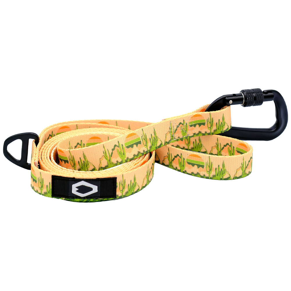 Classy Dog Outdoor Style Cactus Cream Nylon Dog Dog Leash - Front