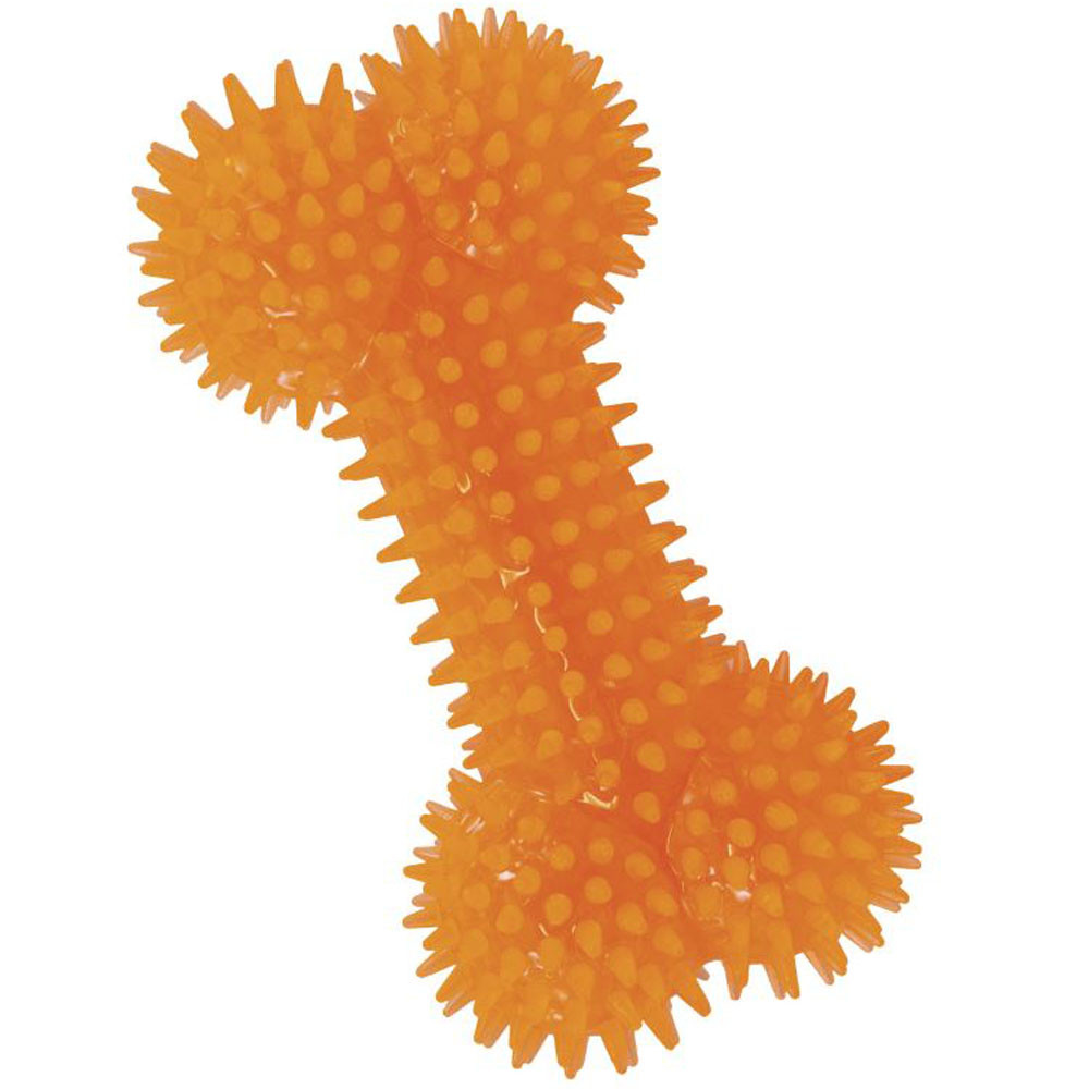 Gnawsome Orange Spiky Bone Squeaker Dog Toy - Front