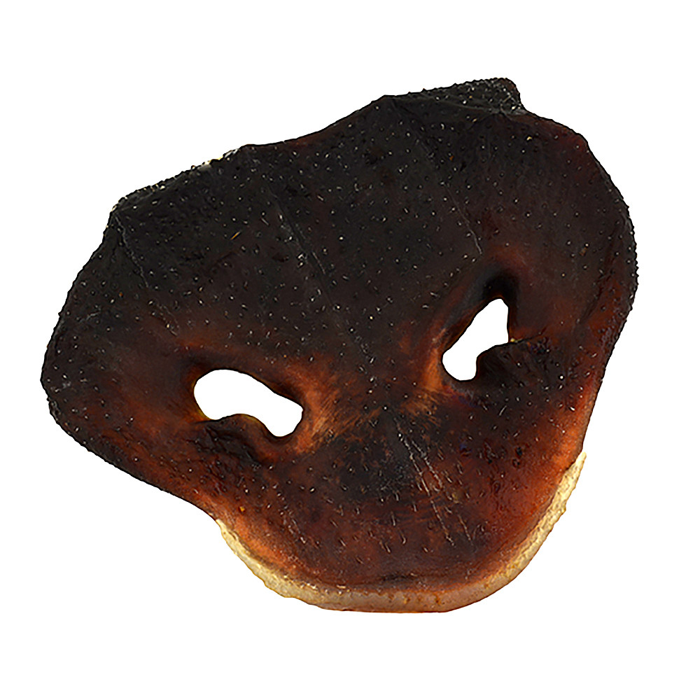 Fog City Pet Pig Snout Dog Chew Treat - Front