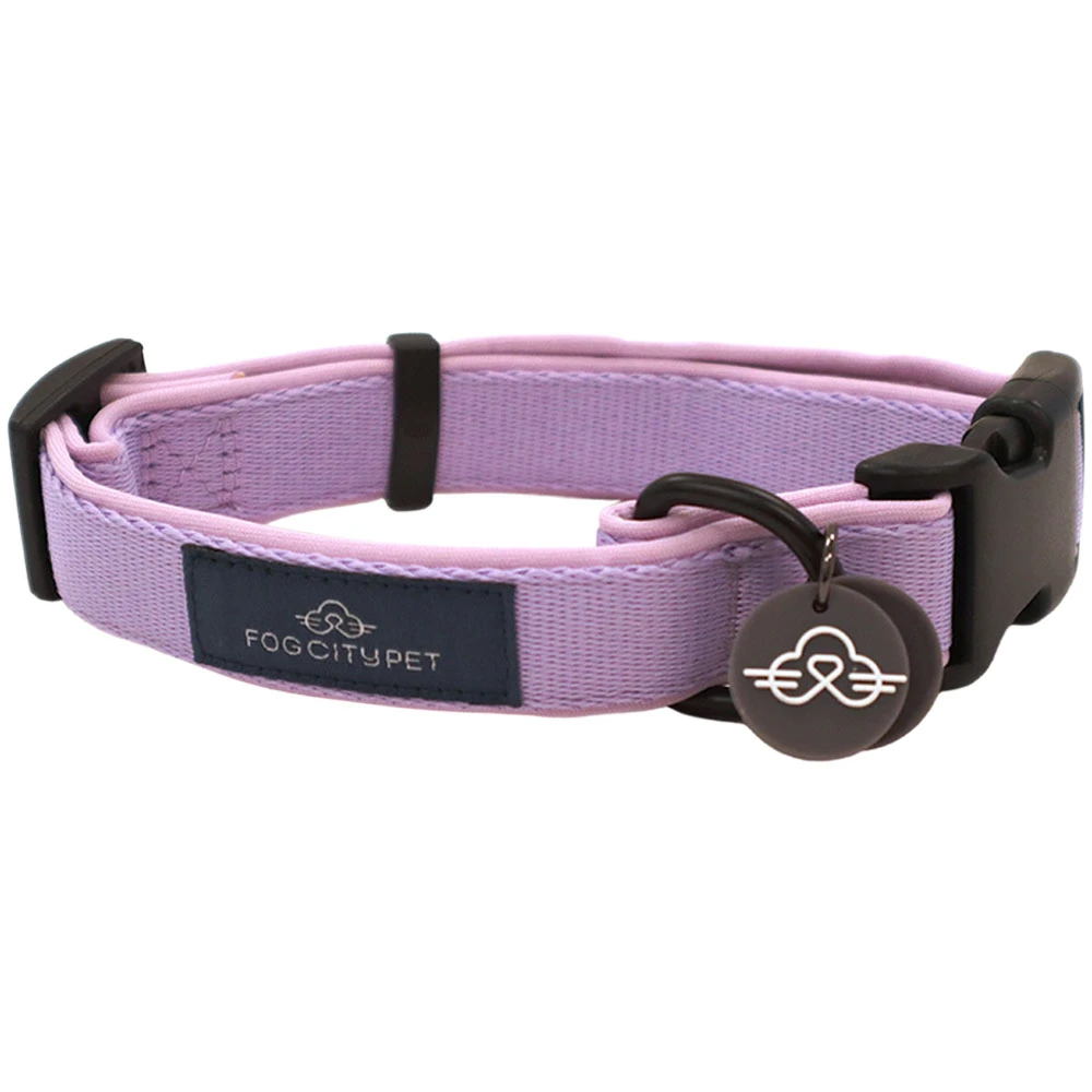Fog City Pet Lavender Daily Wear Dog Collar - Front