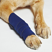 Healers Leg Bandage for Dogs