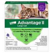 Advantage II Flea Prevention for Large Cats (Over 9 lbs) - Front, 4 Pack