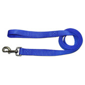 Ozark Dog 1 Ply Nylon Dog Leash - Blue