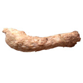 Vital Essentials Raw Bar Chicken Neck Freeze-Dried Raw Dog & Cat Treat - Front, Treat