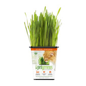 Pet Greens Certified Organic Cat Grass - Front