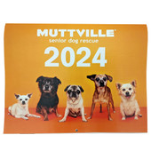 Muttville Senior Dog Rescue 2024 Monthly Wall Calendar - Front