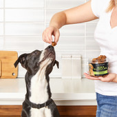 JustFoodForDogs Skin & Allergy Aid Soft Chews Dog Supplement - Front, Lifestyle