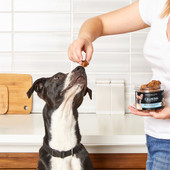 JustFoodForDogs Calming Soft Chews Dog Supplement - Front, Lifestyle