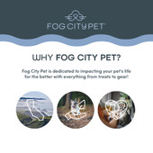 Fog City Pet Black Multi-Function Adaptive Walking Dog Leash