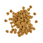 Fog City Pet Crunchy Salmon Cat Treats - Front, Treats