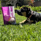 Smallbatch Supper Booster Freeze-Dried Turkey Bites Recipe Dog & Cat Food Topper & Treat - Front, Lifestyle