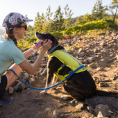 RuffWear Trail Runner Blue Pool Dog Leash - Front, Lifestyle