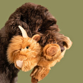 Fluff & Tuff Shaggy The Highland Cow Plush Dog Toy - Front, Lifestyle