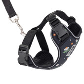 RC Pets Adventure Kitty Daisies Cat Harness - Front