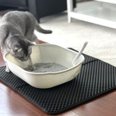 Spiffy Paw Open Cat Litter Pan - Front, Lifestyle