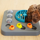 Messy Mutts Flip 'N Slide Puzzler Interactive Dog Toy - Front, Lifestyle