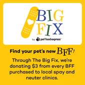 Big Fix Friends Dudley the Blue Monster Plush Dog Toy by Snugarooz - Front, Infographic 