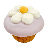 Bosco & Roxy's Cupcake Dog Treat - Front