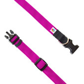 Wildebeest Fuchsia Funston Classic Dog Collar - Front