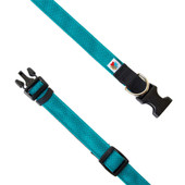 Wildebeest Turquoise Funston Classic Dog Collar - Front