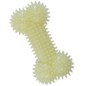 Gnawsome Glow in Dark Spiky Bone Squeaker Dog Toy - Front