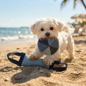 Fog City Pet Indigo Denim Ball Plush Dog Toy - Lifestyle
