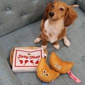 Fog City Pet x P.L.A.Y. Lucky Treats Plush Dog Toy - Front/ Lifestyle