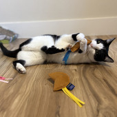 Fog City Pet x P.L.A.Y. Fortune Cookies Catnip Plush Cat Toys  - Front/ Lifestyle