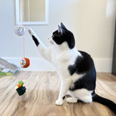 Fog City Pet x P.L.A.Y. Sushi Roll Wand Cat Toy - Front/ Lifestyle