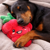 SnugArooz Big Berry Plush Dog Toy - Front/ Lifestyle