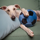 Fluff & Tuff Blue Soccer Ball Plush Dog Toy - Front/ Lifestyle