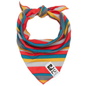  RC Pets Zephyr Multi-Stripes Cooling Dog Bandana - Front