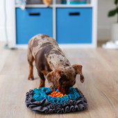 Messy Mutts Square Forage Snuffle Pet Mat - Front/ Lifestyle