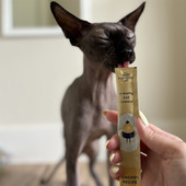 Fog City Pet Chicken Recipe Lickable Creamy Cat Treats - Front, Lifestyle