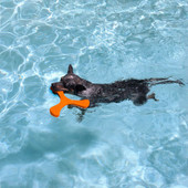 N-Gage Hydro Propeller Dog Toy - Front, Lifestyle