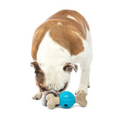 Guru Spin & Chew Bone Interactive Dog Toy - Front/ Lifetsyle