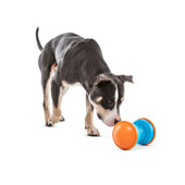 Guru Bouncer Interactive Dog Toy - Front/ Lifestyle