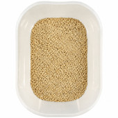 Spiffy Paw Unscented Corn Clumping Cat Litter - Front, Litter
