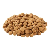 SKOKI Ranch Dry Dog Food - Front/ Food