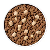 Instinct Grain-Free RawBoost+ High-Protein Recipe w/ Real Salmon Dry Dog Food - Front/ Food